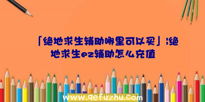 「绝地求生辅助哪里可以买」|绝地求生ez辅助怎么充值